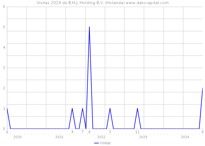 Visitas 2024 de B.H.J. Holding B.V. (Holanda) 