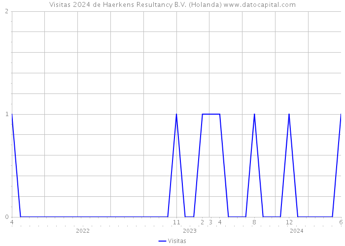 Visitas 2024 de Haerkens Resultancy B.V. (Holanda) 