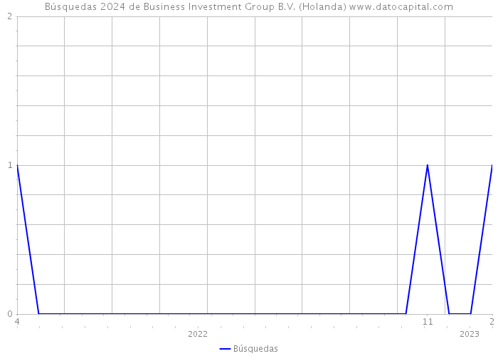 Búsquedas 2024 de Business Investment Group B.V. (Holanda) 