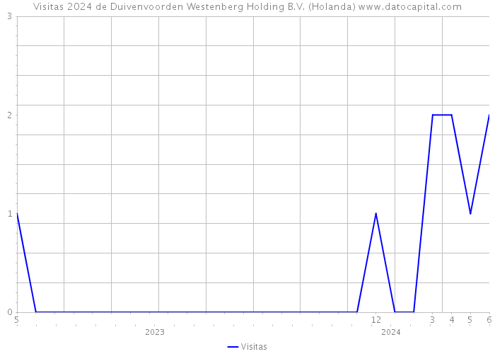 Visitas 2024 de Duivenvoorden Westenberg Holding B.V. (Holanda) 
