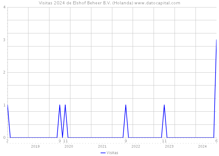 Visitas 2024 de Elshof Beheer B.V. (Holanda) 