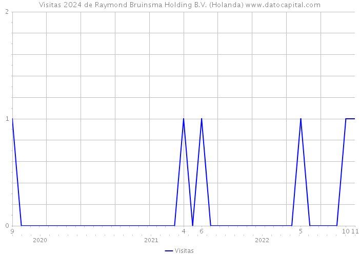 Visitas 2024 de Raymond Bruinsma Holding B.V. (Holanda) 