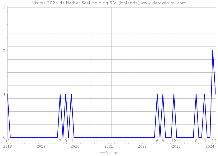 Visitas 2024 de Nether Seal Holding B.V. (Holanda) 