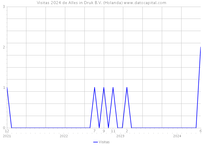 Visitas 2024 de Alles in Druk B.V. (Holanda) 