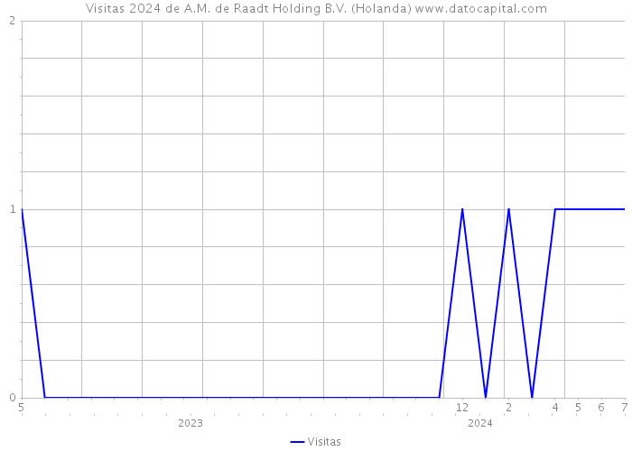 Visitas 2024 de A.M. de Raadt Holding B.V. (Holanda) 