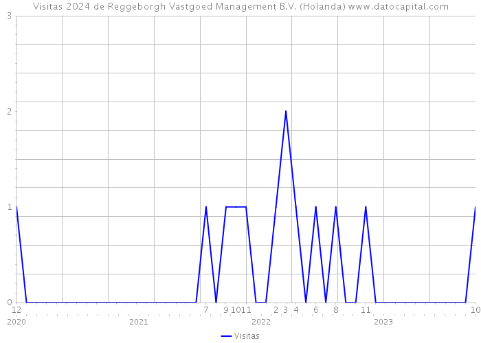 Visitas 2024 de Reggeborgh Vastgoed Management B.V. (Holanda) 