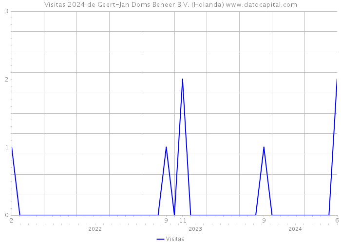 Visitas 2024 de Geert-Jan Doms Beheer B.V. (Holanda) 