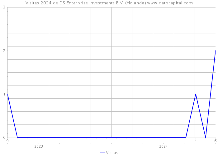 Visitas 2024 de DS Enterprise Investments B.V. (Holanda) 