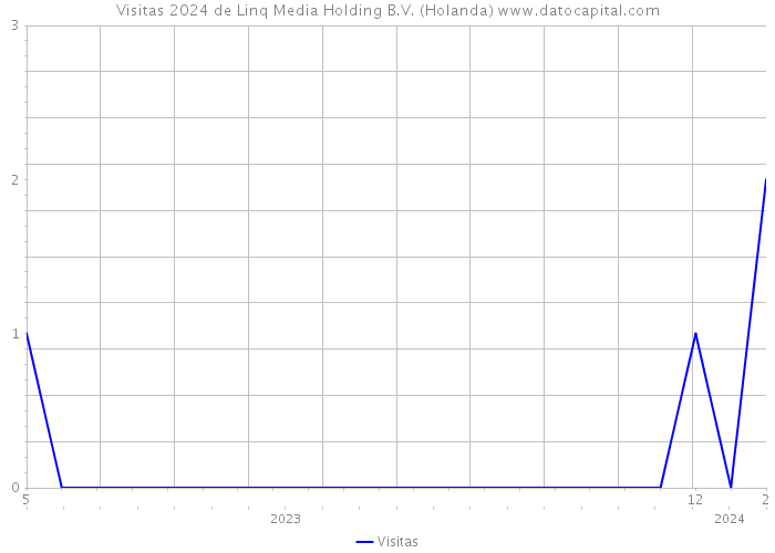 Visitas 2024 de Linq Media Holding B.V. (Holanda) 