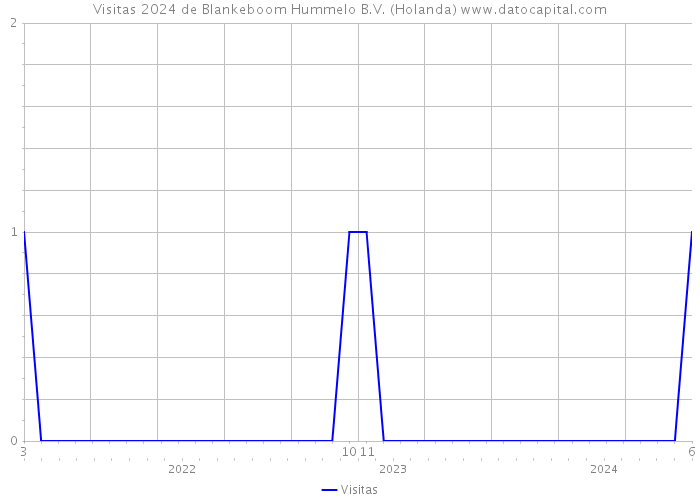 Visitas 2024 de Blankeboom Hummelo B.V. (Holanda) 