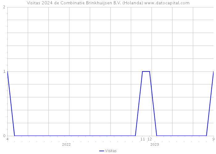 Visitas 2024 de Combinatie Brinkhuijsen B.V. (Holanda) 