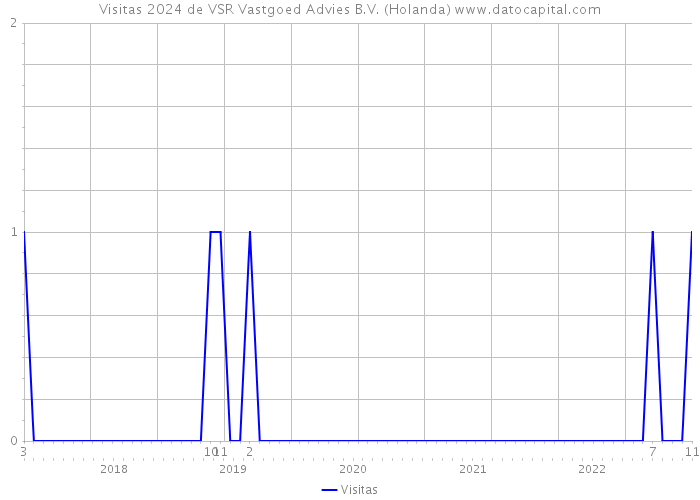 Visitas 2024 de VSR Vastgoed Advies B.V. (Holanda) 