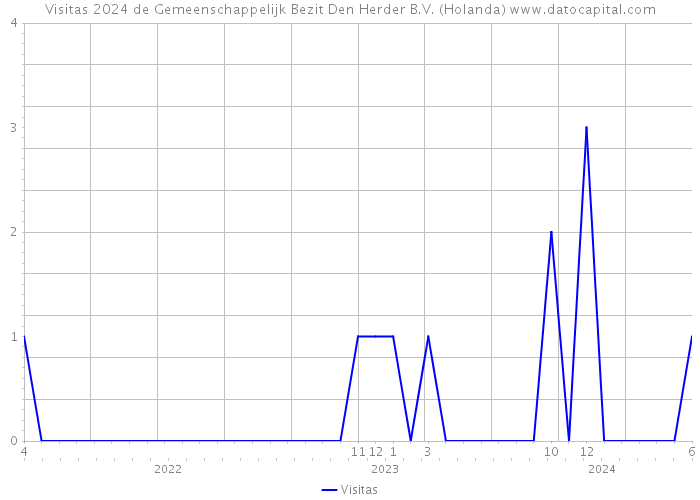 Visitas 2024 de Gemeenschappelijk Bezit Den Herder B.V. (Holanda) 