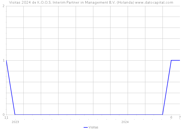 Visitas 2024 de K.O.O.S. Interim Partner in Management B.V. (Holanda) 