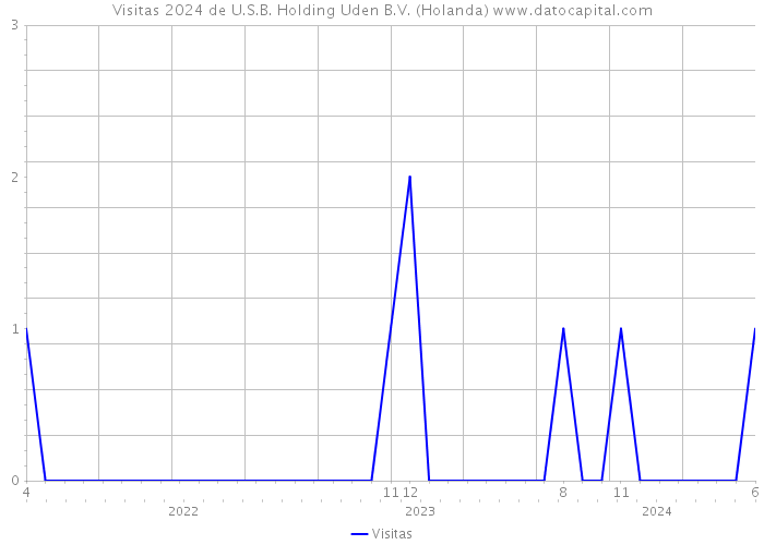 Visitas 2024 de U.S.B. Holding Uden B.V. (Holanda) 