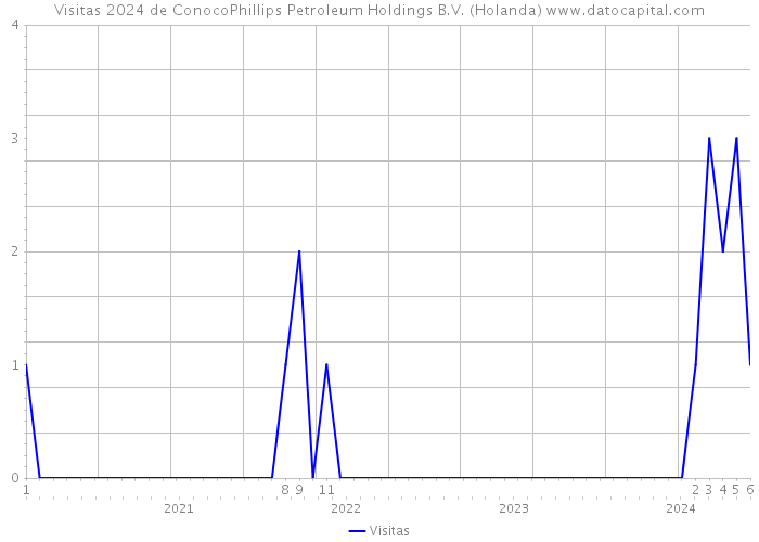 Visitas 2024 de ConocoPhillips Petroleum Holdings B.V. (Holanda) 