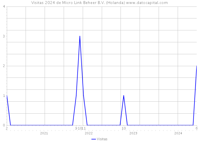 Visitas 2024 de Micro Link Beheer B.V. (Holanda) 