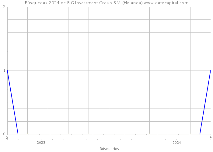 Búsquedas 2024 de BIG Investment Group B.V. (Holanda) 