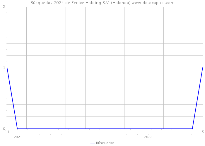 Búsquedas 2024 de Fenice Holding B.V. (Holanda) 