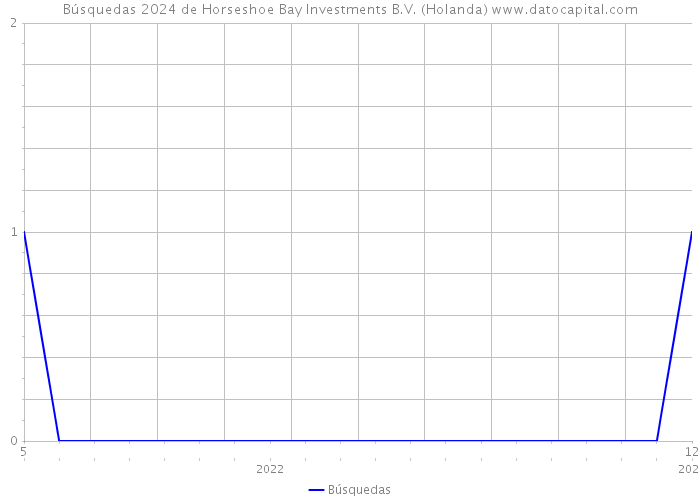 Búsquedas 2024 de Horseshoe Bay Investments B.V. (Holanda) 