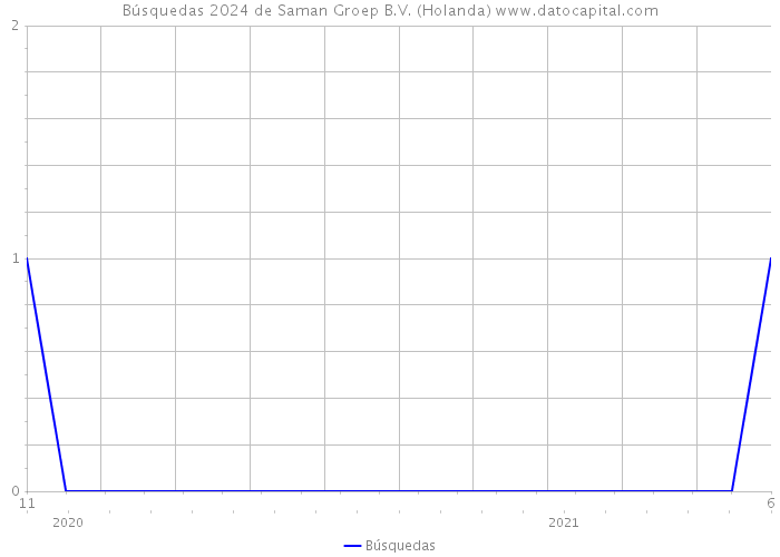 Búsquedas 2024 de Saman Groep B.V. (Holanda) 