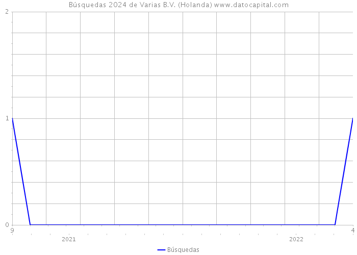 Búsquedas 2024 de Varias B.V. (Holanda) 