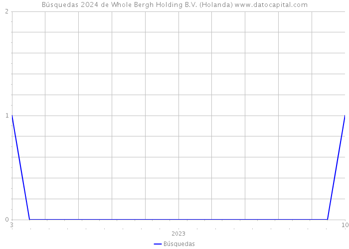 Búsquedas 2024 de Whole Bergh Holding B.V. (Holanda) 
