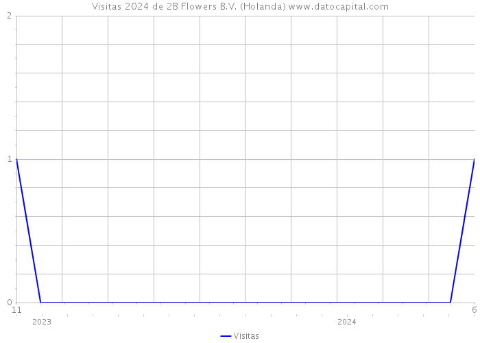 Visitas 2024 de 2B Flowers B.V. (Holanda) 