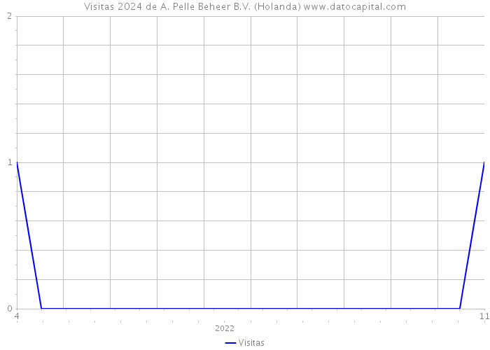 Visitas 2024 de A. Pelle Beheer B.V. (Holanda) 