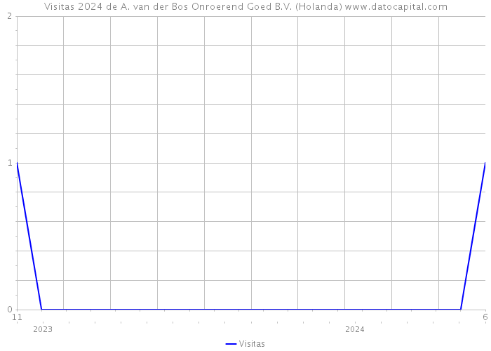 Visitas 2024 de A. van der Bos Onroerend Goed B.V. (Holanda) 