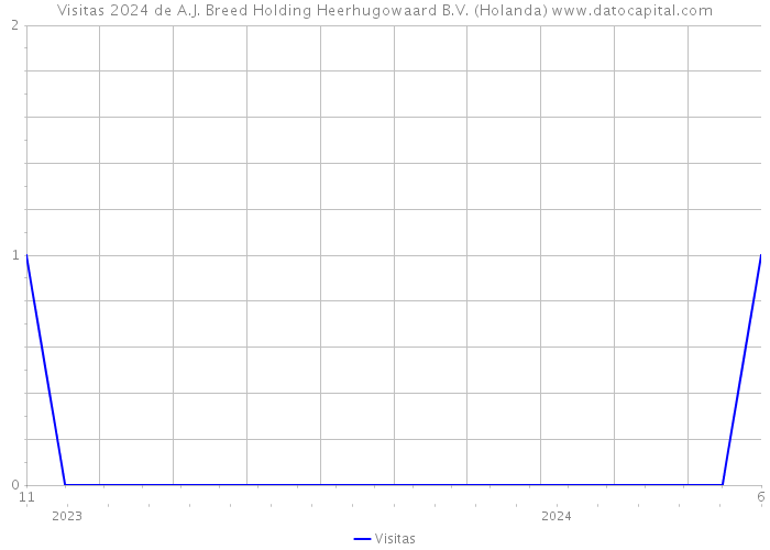 Visitas 2024 de A.J. Breed Holding Heerhugowaard B.V. (Holanda) 