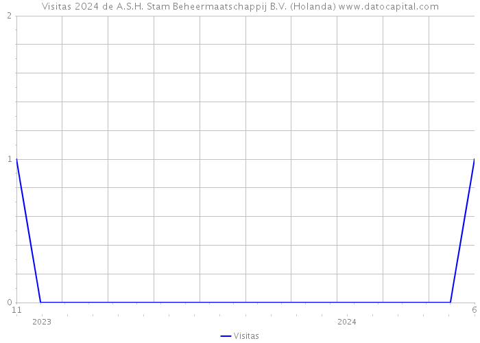 Visitas 2024 de A.S.H. Stam Beheermaatschappij B.V. (Holanda) 