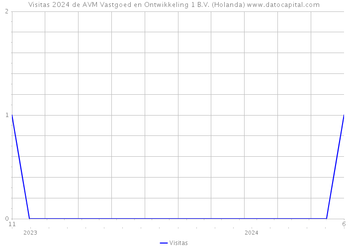 Visitas 2024 de AVM Vastgoed en Ontwikkeling 1 B.V. (Holanda) 