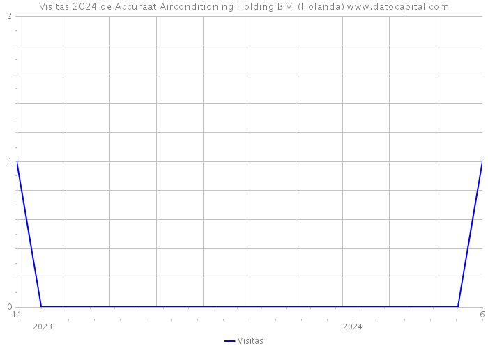 Visitas 2024 de Accuraat Airconditioning Holding B.V. (Holanda) 