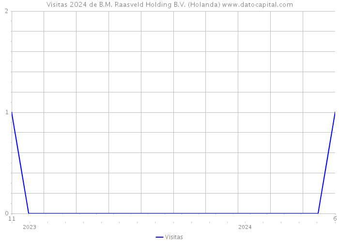 Visitas 2024 de B.M. Raasveld Holding B.V. (Holanda) 