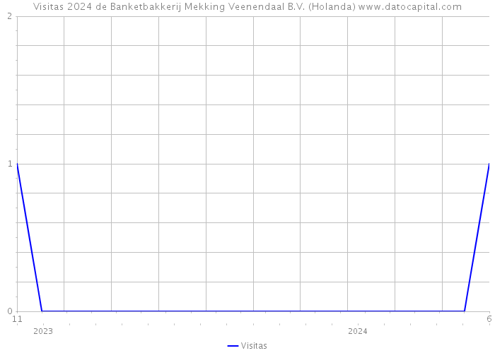 Visitas 2024 de Banketbakkerij Mekking Veenendaal B.V. (Holanda) 