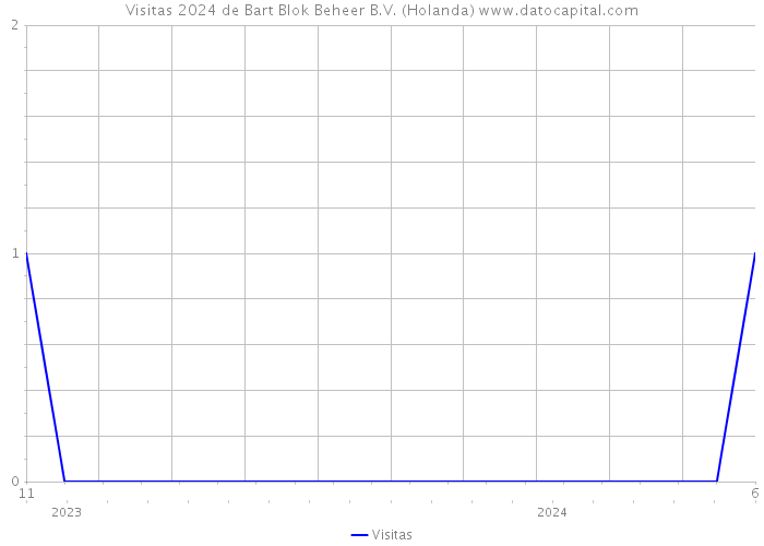 Visitas 2024 de Bart Blok Beheer B.V. (Holanda) 