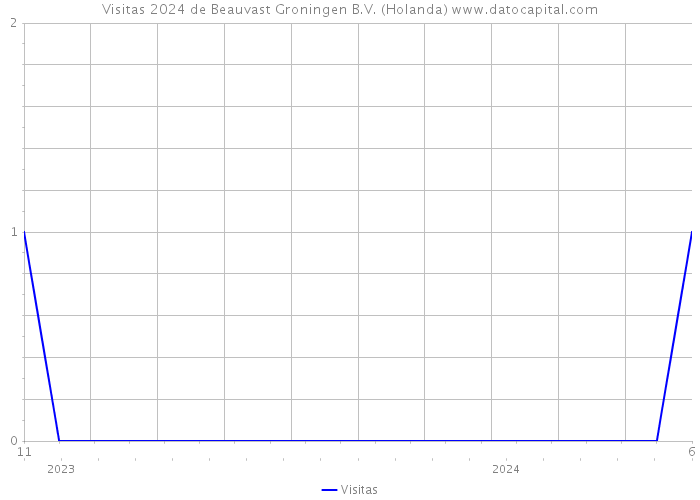 Visitas 2024 de Beauvast Groningen B.V. (Holanda) 