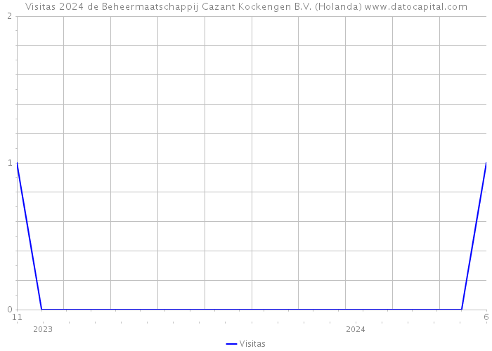 Visitas 2024 de Beheermaatschappij Cazant Kockengen B.V. (Holanda) 