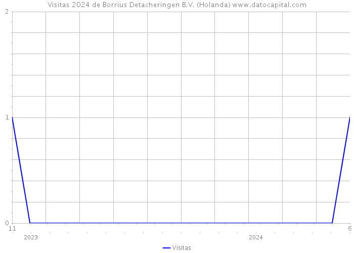 Visitas 2024 de Borrius Detacheringen B.V. (Holanda) 