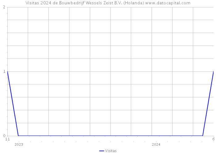 Visitas 2024 de Bouwbedrijf Wessels Zeist B.V. (Holanda) 