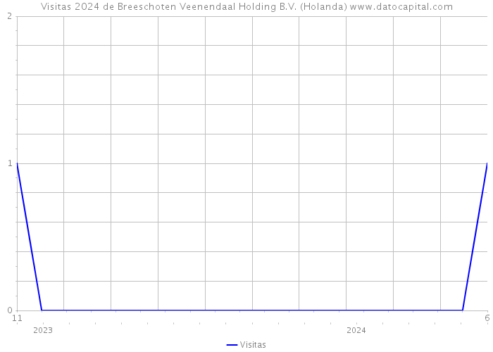 Visitas 2024 de Breeschoten Veenendaal Holding B.V. (Holanda) 