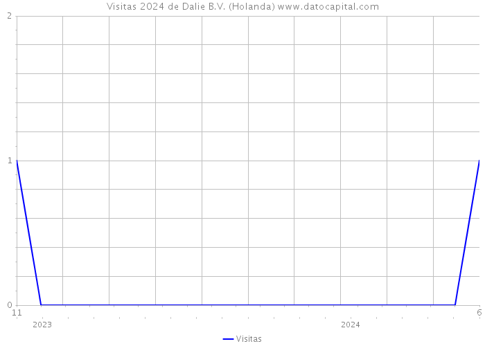 Visitas 2024 de Dalie B.V. (Holanda) 