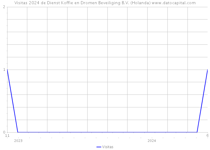Visitas 2024 de Dienst Koffie en Dromen Beveiliging B.V. (Holanda) 
