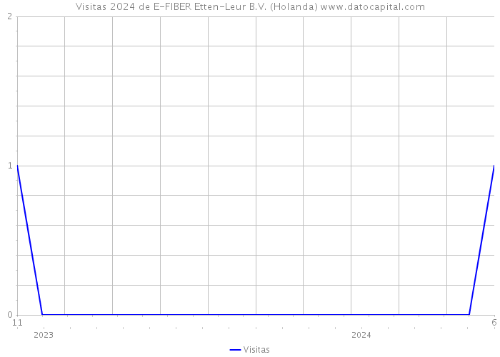 Visitas 2024 de E-FIBER Etten-Leur B.V. (Holanda) 