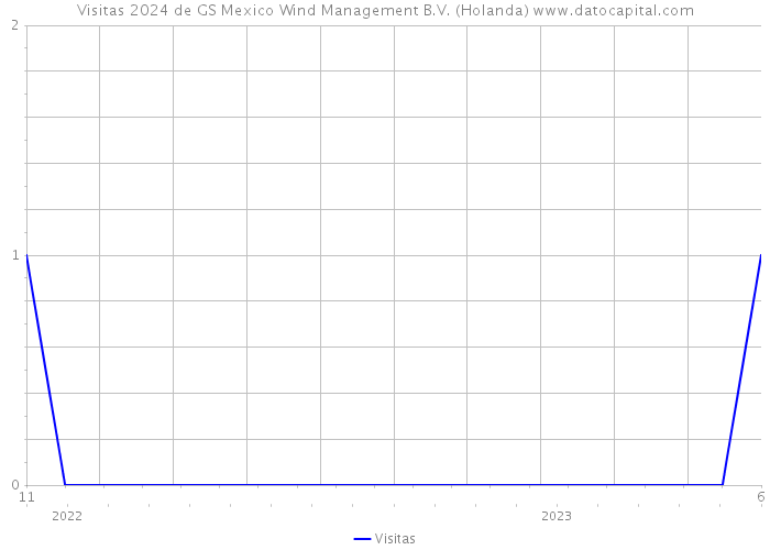 Visitas 2024 de GS Mexico Wind Management B.V. (Holanda) 