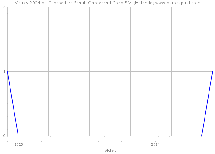 Visitas 2024 de Gebroeders Schuit Onroerend Goed B.V. (Holanda) 