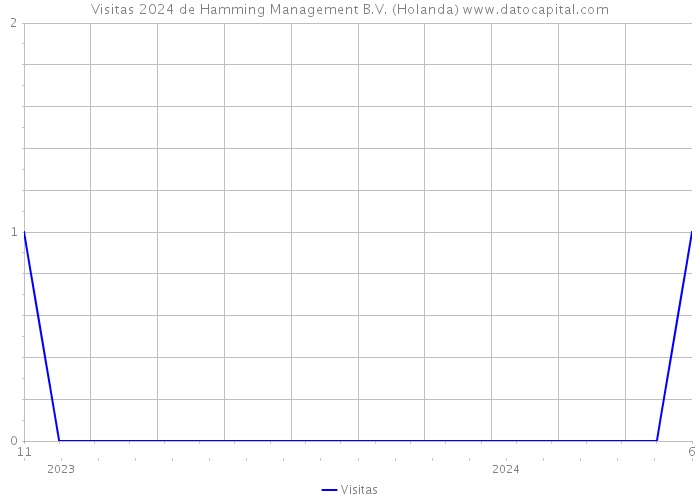 Visitas 2024 de Hamming Management B.V. (Holanda) 