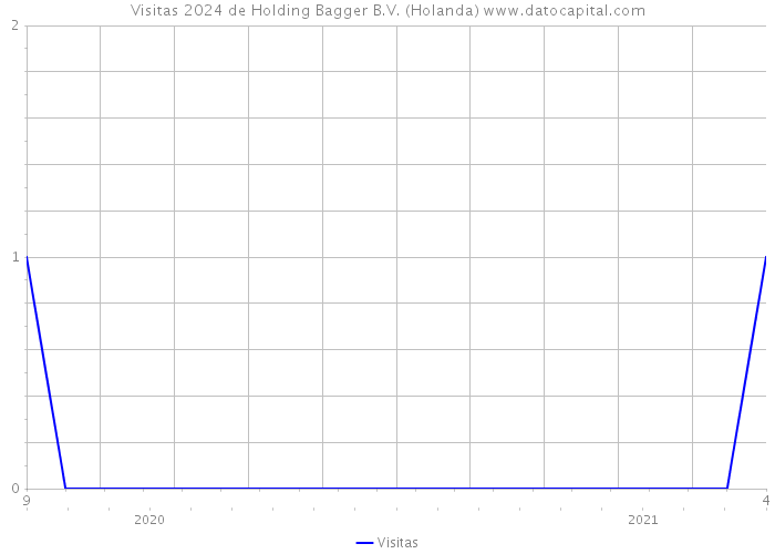 Visitas 2024 de Holding Bagger B.V. (Holanda) 
