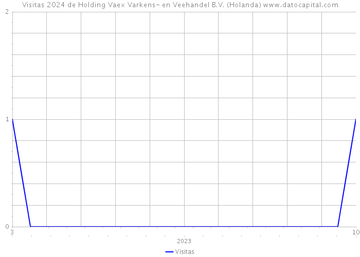 Visitas 2024 de Holding Vaex Varkens- en Veehandel B.V. (Holanda) 